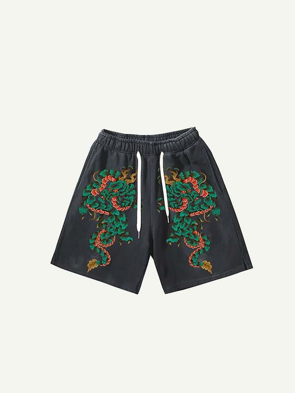 Dragon Print Drawstring Waist Shorts